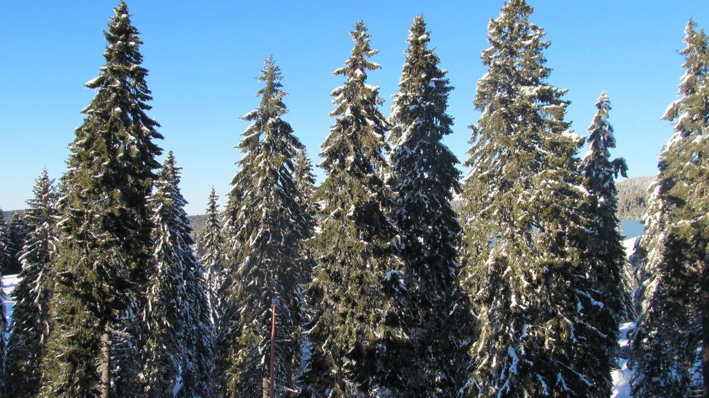 Apartments Vanja I Vrh Kopaonik Luaran gambar